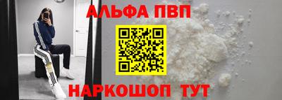 стаф Кингисепп