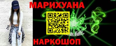 стаф Кингисепп
