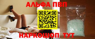 стаф Кингисепп
