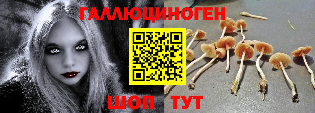Псилоцибиновые грибы мицелий Карпинск