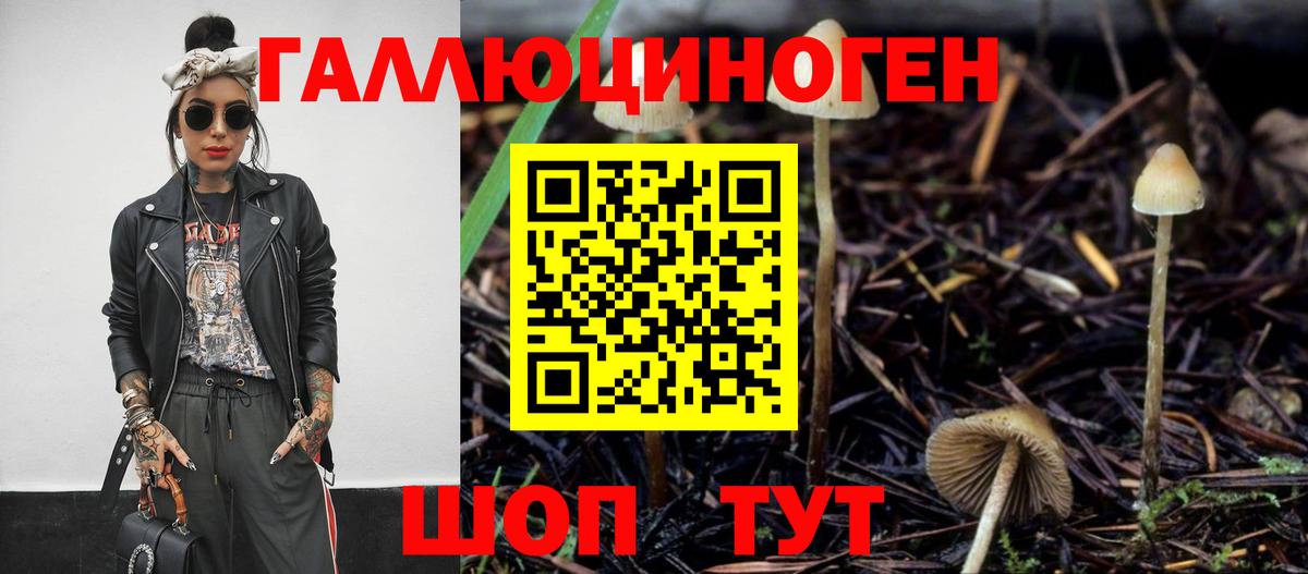Галлюциногенные грибы мицелий  Вход с VPN  Карпинск 